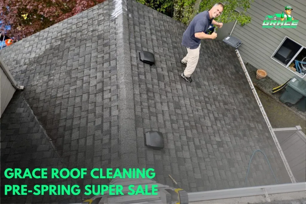 Roof cleaner on a shingled roof with a power washer, under green Pre-Spring Super Sale banner text.