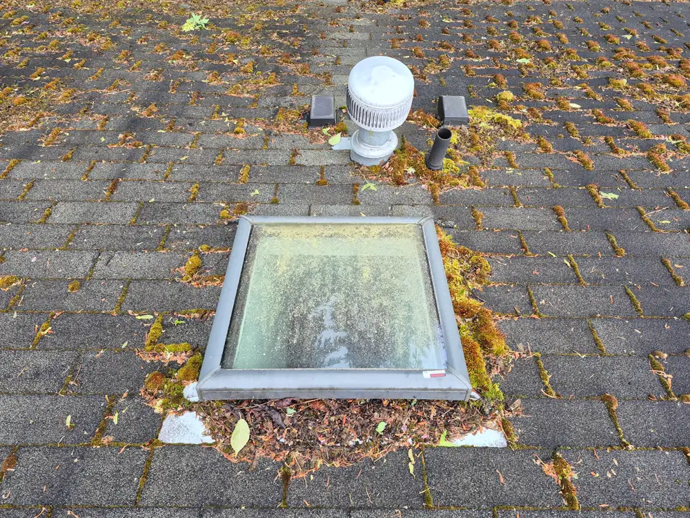 Mossy asphalt shingle roof with dirty skylight and white vent cap before cleaning