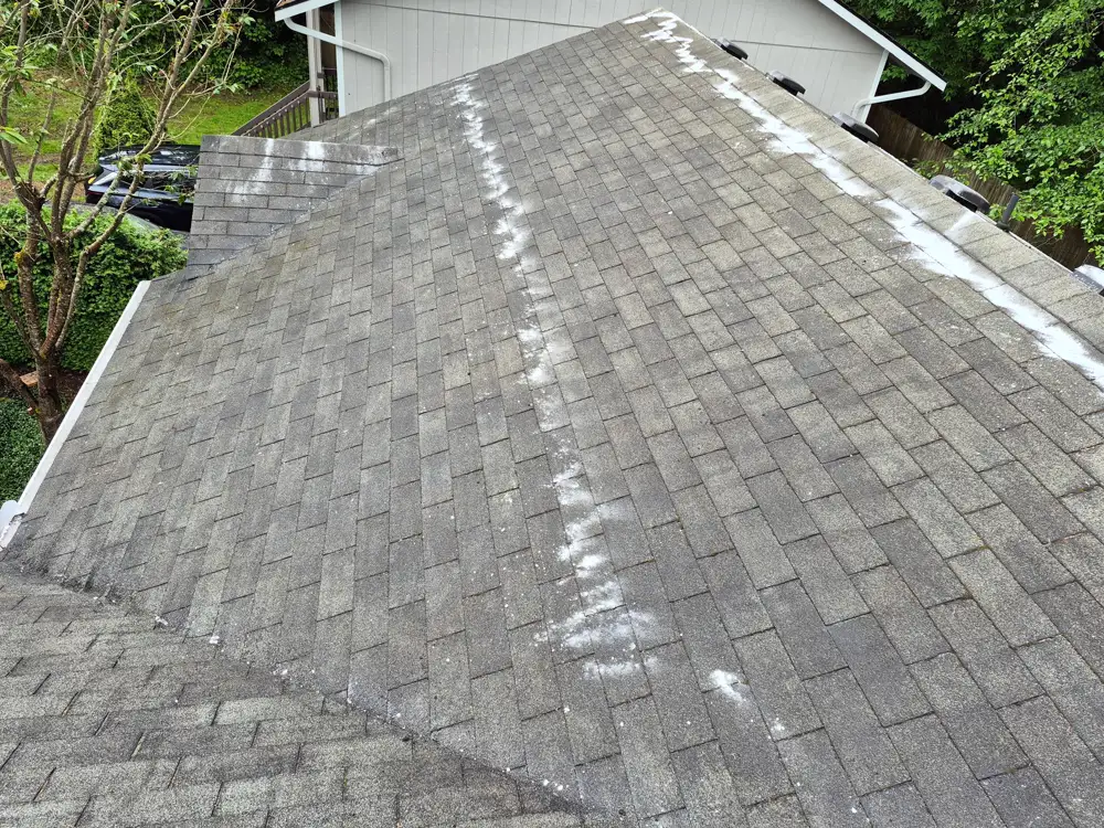 Asphalt shingle roof with white powder streaks along the ridge and white gutter after cleaning