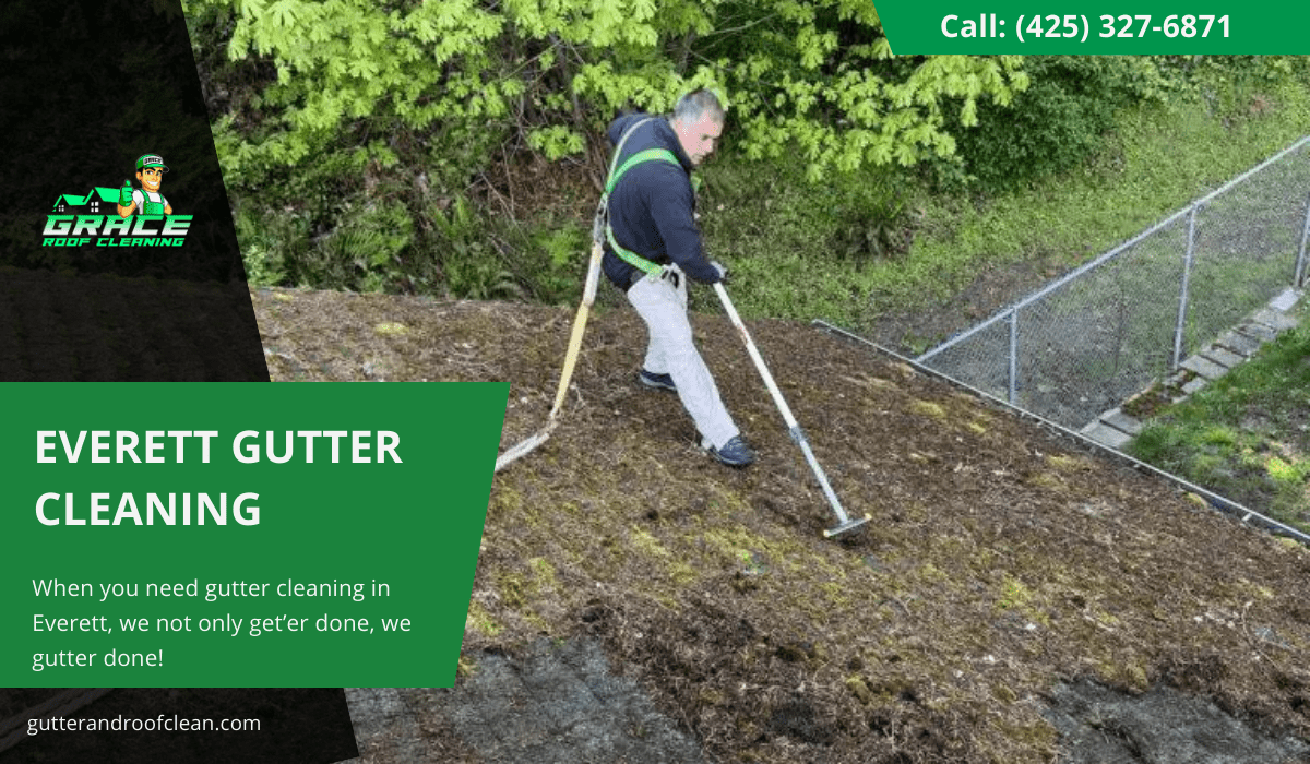Everett Gutter Cleaning Grace Roof & Gutter Cleaning